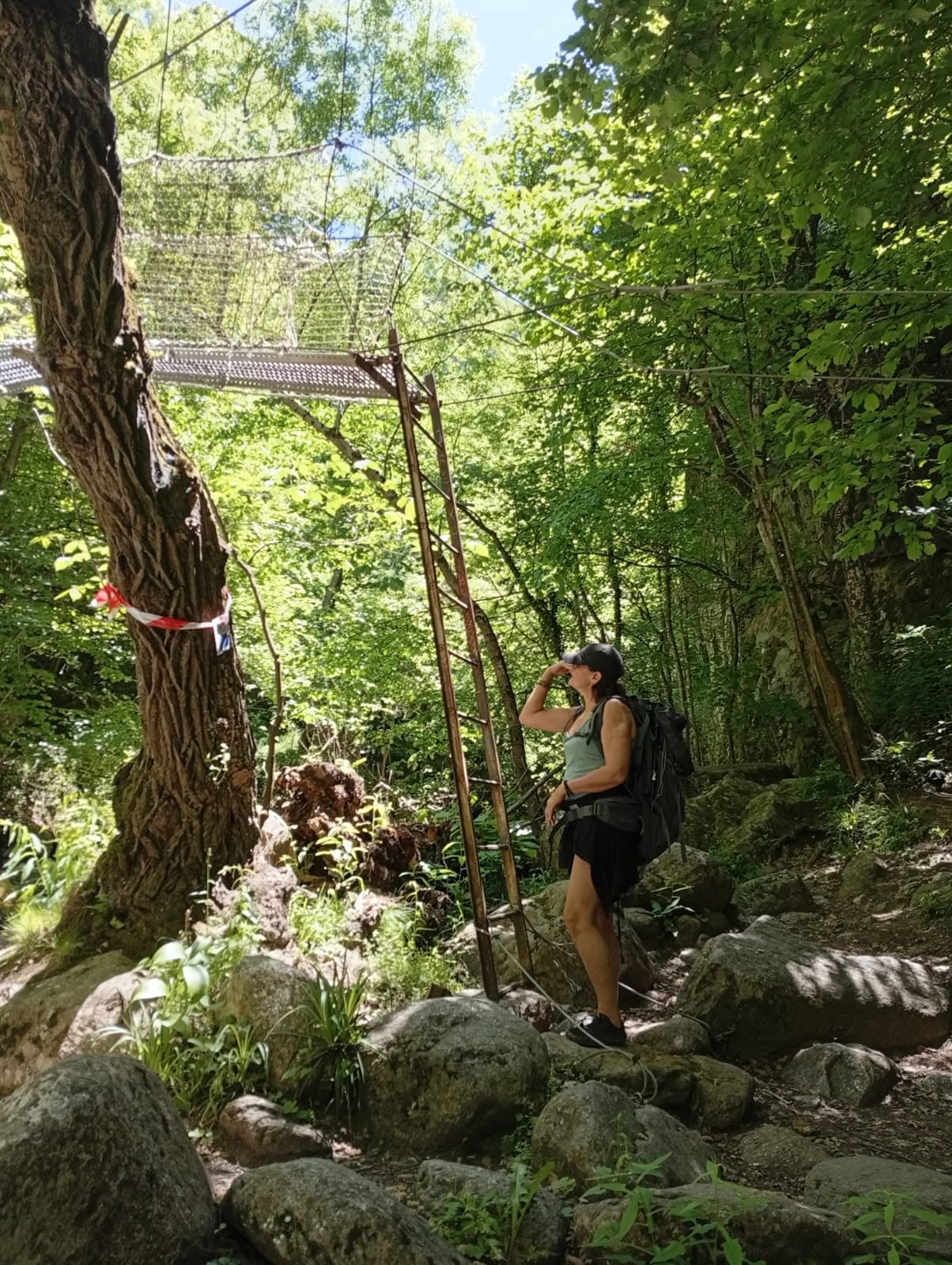 Le Jardin de Clo - image 3